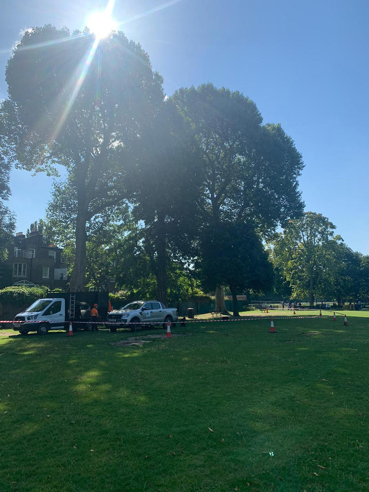 Mature plane trees in a London park with ADF vehicles and cordon tape