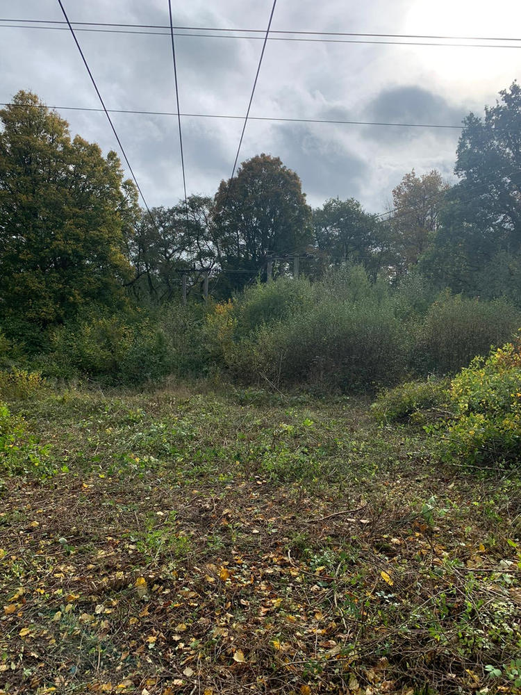 Vegetation cleared back from overhead power lines on a rural site